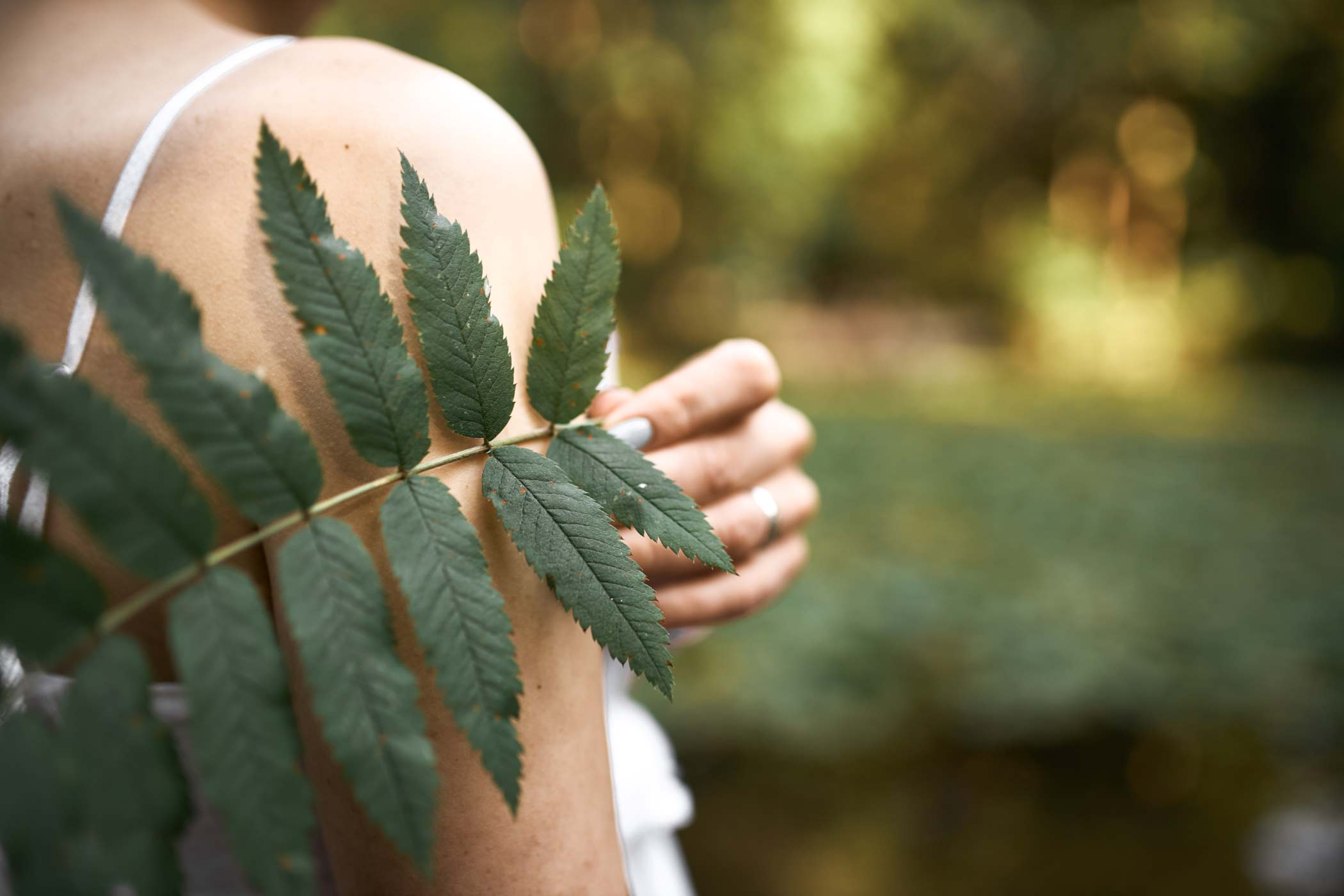 cropped-image-unknown-mysterious-young-woman-posing-park-holding-green-leaf-while-relaxing-outdoors-sunny-day-close-up-fern-plant-female-hand